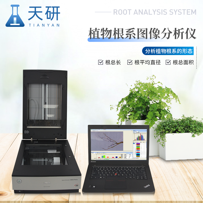 植物根系分析儀：探索地下世界的窗口